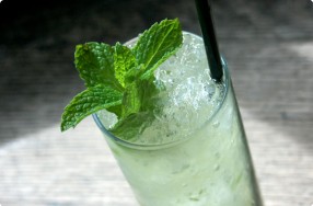 Vanilla Bean Gin Julep