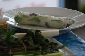 Herbal Spring Rolls w/ Peanut Sauce