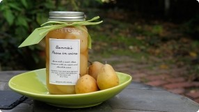 Canned Seckel Pears