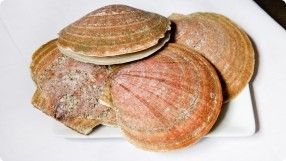 How to Clean Whole Scallops