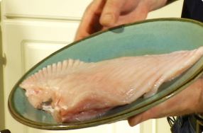 Filleting Skate