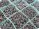 Freezing Blueberries