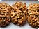 Oatmeal Raisin Cookies